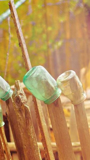 如何挑选麻梨疙瘩黑料截图4