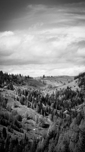 fuli.su黑料正能量地址截图1