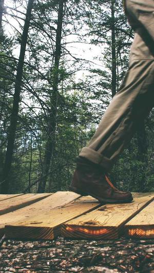 孕妇可以吃佛手瓜截图2