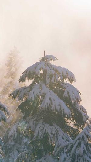 黑料不打烊so导航入口截图2