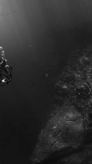 刚怀孕可以吃哈密瓜吗截图3