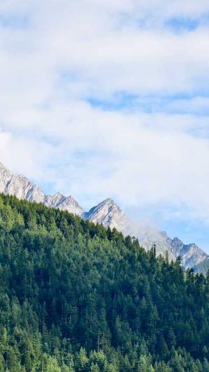 吴亦凡黑料截图5