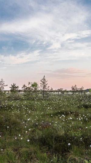 2022黑料不打烊截图1