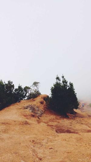 不打烊黑料网址截图1