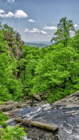 网红黑料不打烊收藏截图2