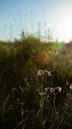 网络上吃瓜是什么意思截图3