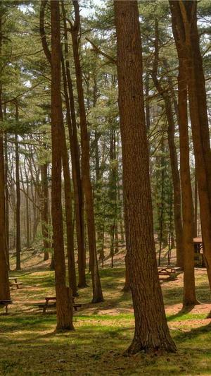 felix李龙馥黑料截图1