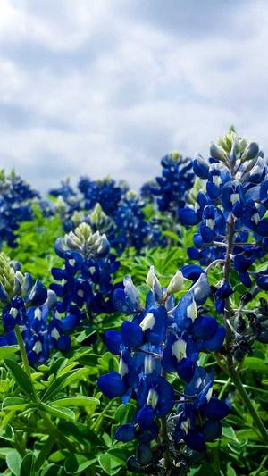 吃瓜群的资源哪里来的截图2