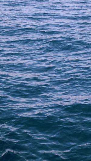 一起吃瓜网截图3