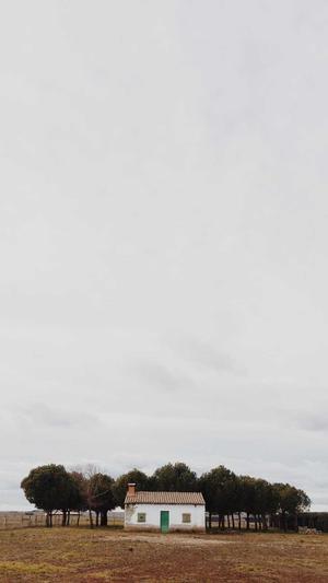 快乐星球部落吃瓜群截图2