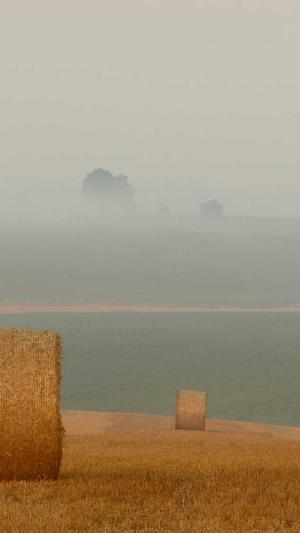 51吃瓜网最新入口截图5