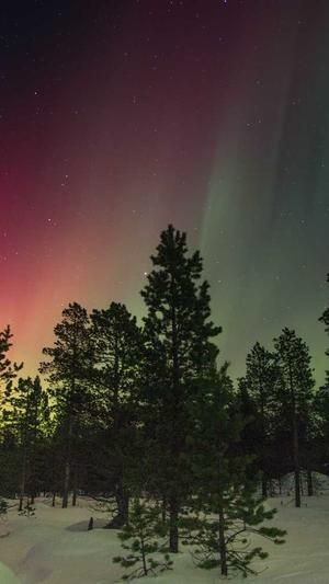 吃瓜群免费加入截图4