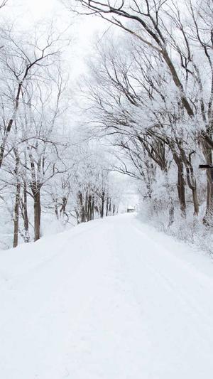 孕妇初期可以吃哈密瓜吗截图4