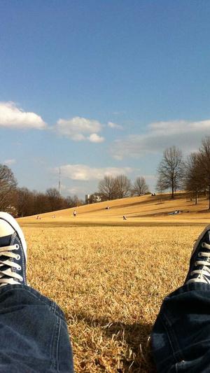 贵妃娘娘在线吃瓜截图1