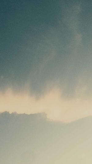 狗狗可以吃哈密瓜么截图3