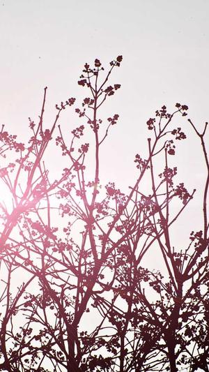 隐秘入口 黑料正能量截图3