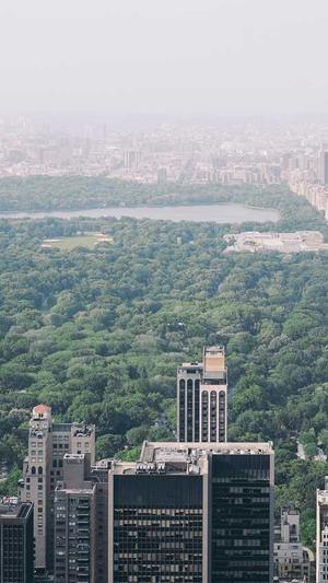 黑料正能量2022年截图4