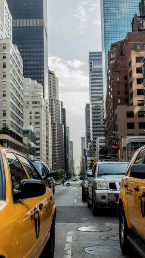 吃瓜会不会胖截图2