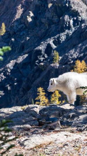 黑料网老司机截图2