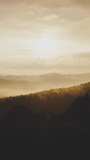 国产黑料吃瓜51吃瓜截图3