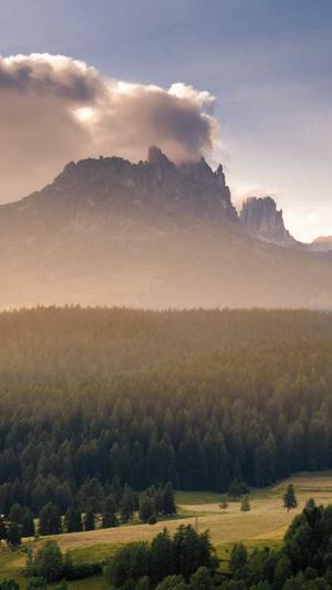 佛手瓜怎么吃截图1