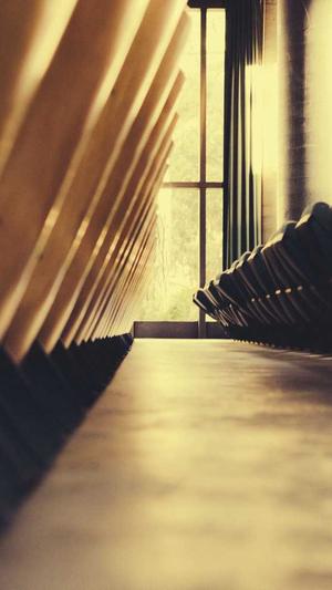 瓜瓜吃瓜视频截图3