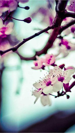 黑料不打烊是不是凉了截图3