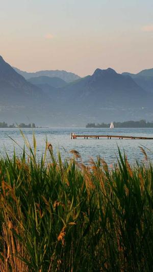 赵又廷黑料截图2