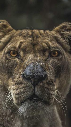 黑料正能量网站入口截图1