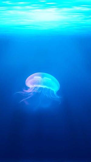 章子怡黑料截图3