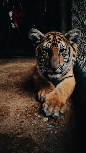 豆瓣八组柏邦妮黑料截图3