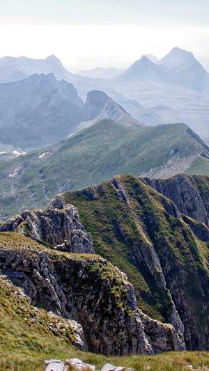 孕妇可以吃八月瓜吗截图1