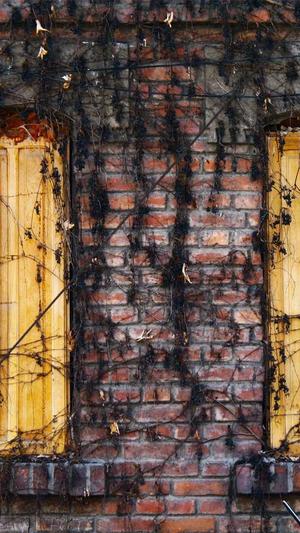 b站博主伊南娜黑料截图2