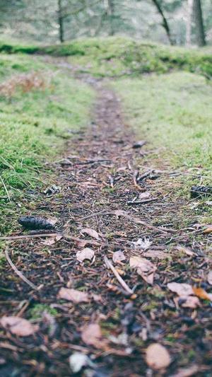 第一黑料影后文案截图2