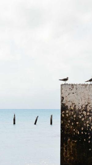 章子怡黑料截图4