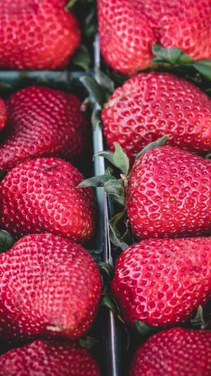 孕妇可以吃哈密瓜吗截图4