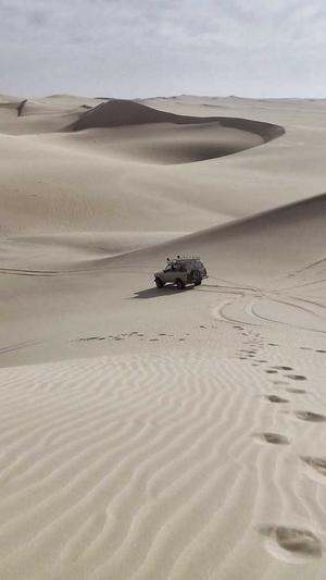 51网红吃瓜截图3