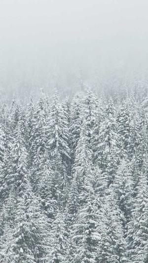 虾和哈密瓜能一起吃吗截图2