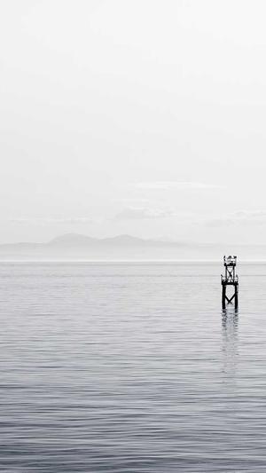 网红黑料正能量传送门截图4