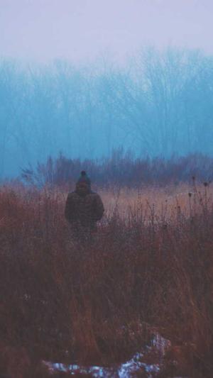 晚上吃哈密瓜好吗截图2