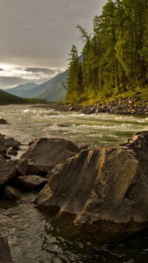 黑料不打烊网截图4