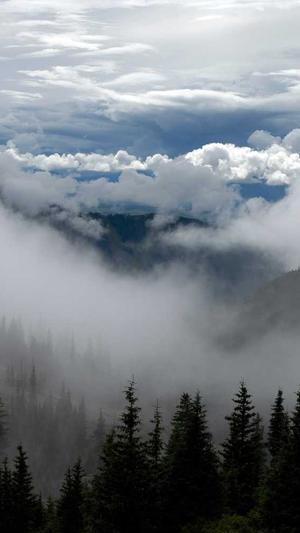 吃瓜娱乐八卦截图5