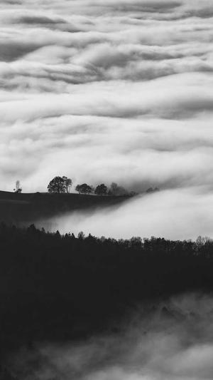 黑坑窝料和饵料截图2